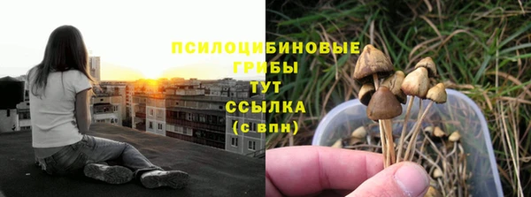 круглые Кодинск