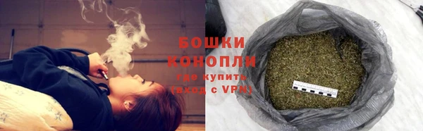 мдпв Нестеровская