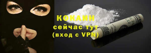 винт Кизел