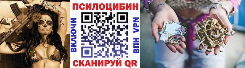 как найти закладки  Михайловка  Псилоцибиновые грибы мицелий 